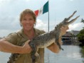 /album/chacharas/steve-irwin-jpg/